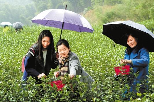 �㽭���壺������������ ������ѿ�ȷ�