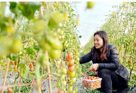 �㽭����������ת����ũҵ�ִ���