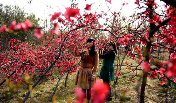 �����°���ȫ���ƽ���ľ���ܲ�ҵ����