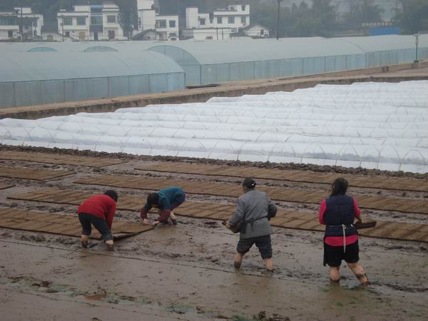 �Ĵ�¡����2015���е��������������ʼ����