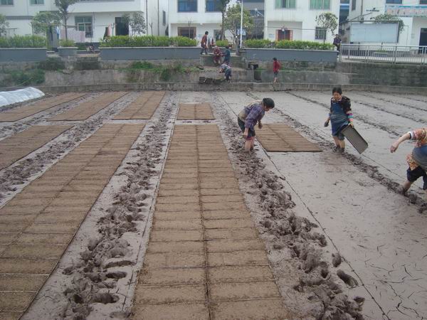 �Ĵ�¡����2015���е��������������ʼ����2