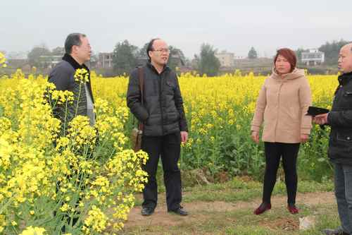 �������ũҵ���������ƻ��˲��������������