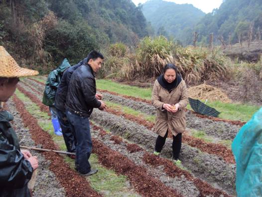 �������֣���������-��ݥ������������ҿƼ�����ǿ����Ŀ