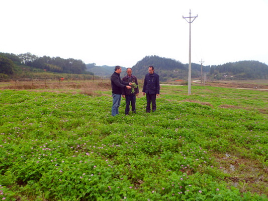 ͼΪũ����Ա�鿴����Ӣ���Ʋ�ָ��ũ����������׼��