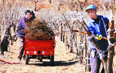 �������᣺ũ�����������б�����ũ�ˡ�