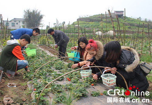 �Ĵ�������ͭ�Ĳ�ݮ�� ��������ժ