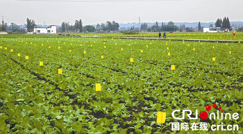 �Ĵ�üɽ�ݲˡ��ݡ����¸�·