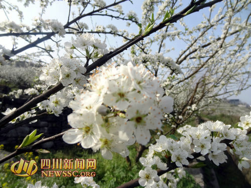 �Ĵ����ݶ�����ǧĶ������������������