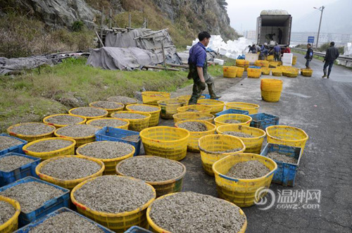 �㽭���ϳ�Ϫ������� Ķ����200���