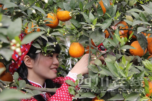 ����ϲ��