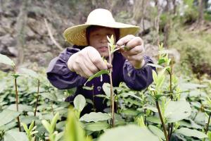 �㽭�����������������ժ�����۸��������