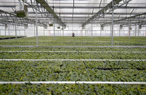 �����˲���С����������ǧ�������