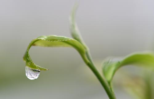 һ��ˮ����ڸշ������Ĳ�������ѿ�ϣ�3��22���㣩��