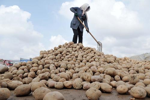 ��3��24�գ������Ļ��������������ؽ�̨�磬һ������������ũ����������������