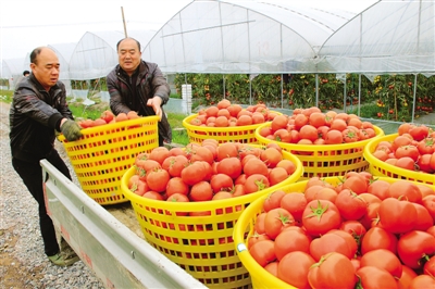 �㽭�����ش����������۸��ߵ�