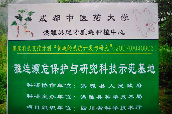 �Ĵ������أ�������ֲ���� ��ȱ�Σ����