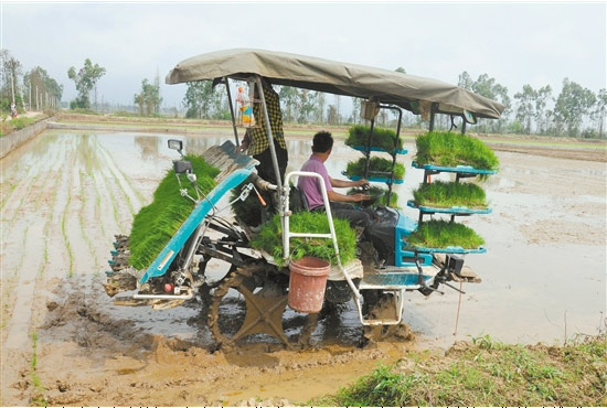 �㶫̨ɽ�ж����������¡¡ ����������