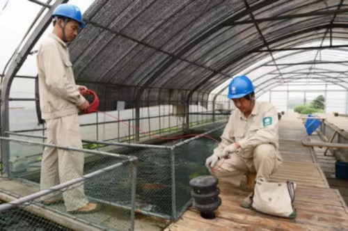 �㽭������ֳ̲ͷ�¸����������׶�Ϻ��ס�ϡ�ů����