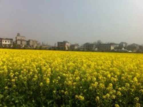 ������Դ10��Ķ�Ͳ˷�������