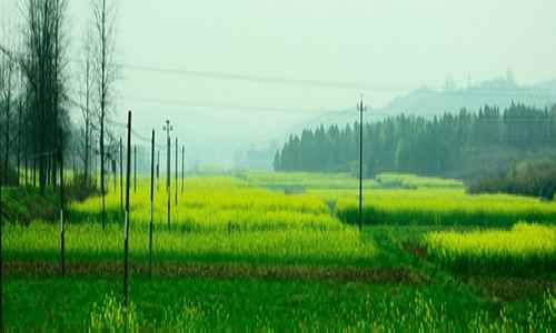 ���������������Ͳ˻������˰�