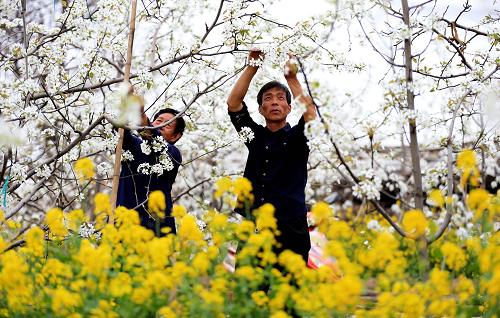 ɽ�������ϴ�������æ