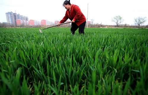 3��31�գ�ɽ���˳����κ�������Ӫ��Ĵ��������������ݡ�