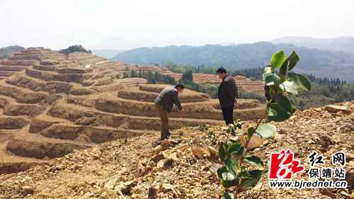 ���ϱ�����������ֲ�Ͳ�500Ķ