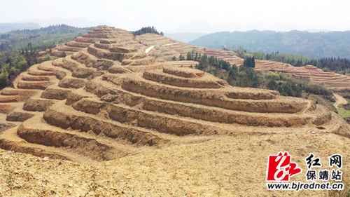 �Ͳ���ֲ����