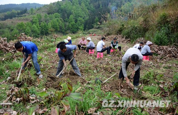 �����Ž���ˮ����ֲ��Ϊũ���¸���;��