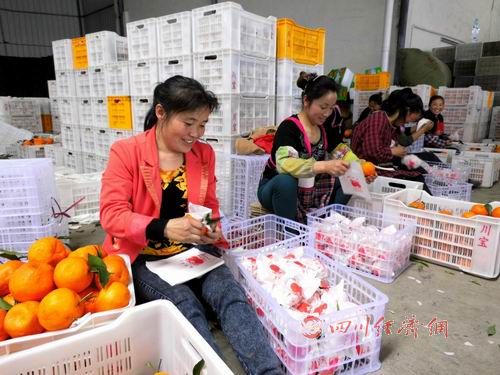 �ֹ��¸� �Ĵ���ɽ�Ʒ���1.8��ũ���6��