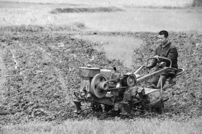 ������������ͥũ������æ