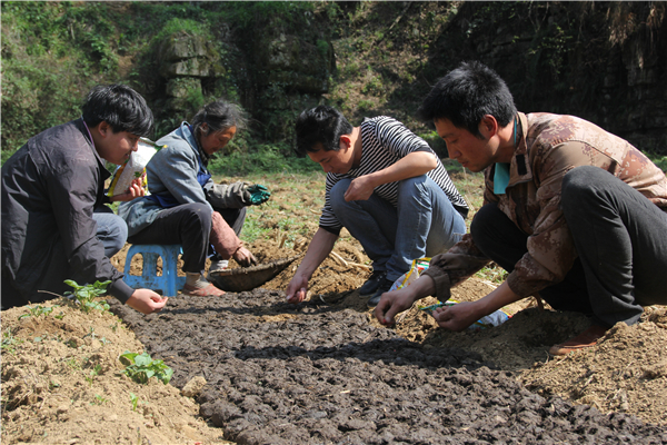 ���ݴ󷽣�38������������֡����ס�����