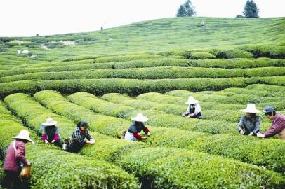 �񴺴������ �۸����˫����