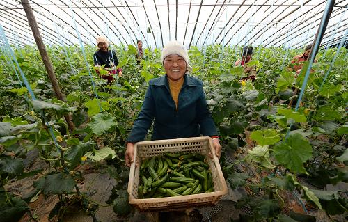 �����½��أ�����ũҵ ��ɫ����