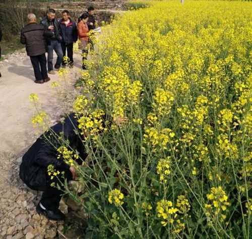 ���ϴ������Ͳ����ַ�������