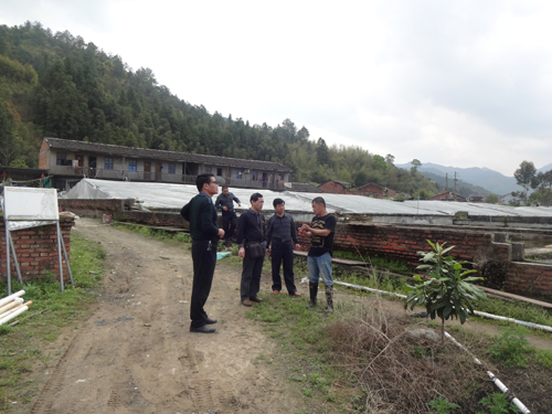 ��������������������ֳ�����ֳ�����