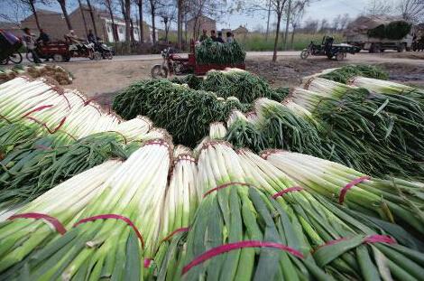 ����Ǭ��500�򹫽�������