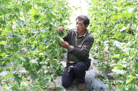 �����ӳ�����Ϲ������� ��ũϲ�����