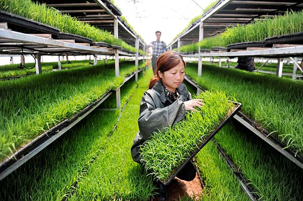 �����絾�������������������������������