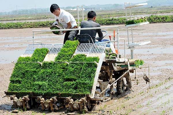 4��11�գ�����ʡ۶�����ַ��������ũ������������ͨ���������������