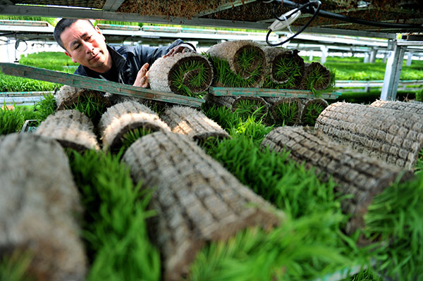 4��11�գ��ڽ���ʡ۶�����ַ����ũ�����������������ʽ��������������Ա�վ�����׼�������������ԡ�