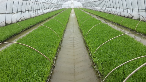 �㽭�����н�½����ʼ���е������