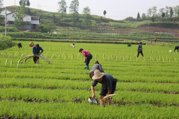 �Ĵ����أ��ܺ��紲 ����׳��