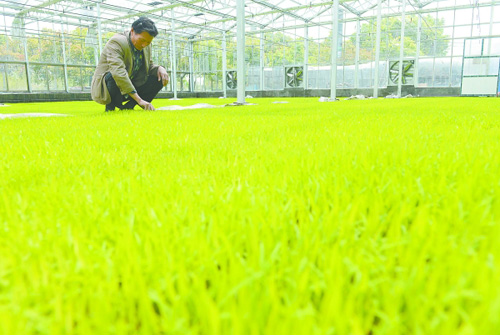 �㽭��Ҧ���������������ƴ�������