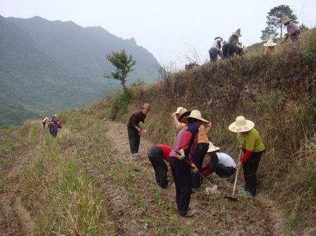 ����̩�������������͵�����ͷ