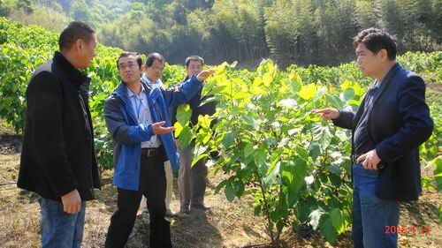 ����������Ԫ��ָ�����й۹��԰����