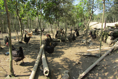 ������Ϫ���̿Ǽ��������г�