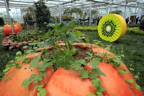 �Ű���ȫ�������ִ�ũҵ�Ƽ�ʾ��԰�ڵĴ����߲���ֲ��4��10���㣩��