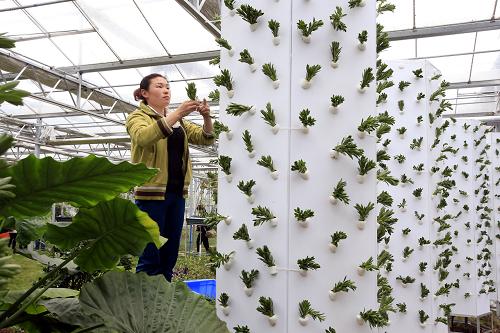 һλ������Ա���Ű���ȫ�������ִ�ũҵ�Ƽ�ʾ��԰�ڽ����߲��������ࣨ4��10���㣩��