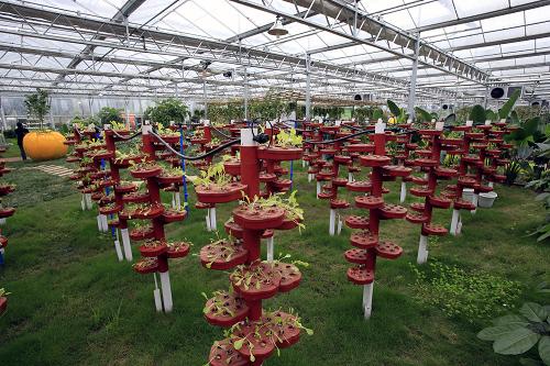 �Ű���ȫ�������ִ�ũҵ�Ƽ�ʾ��԰�ڵ��߲��������ࣨ4��10���㣩��